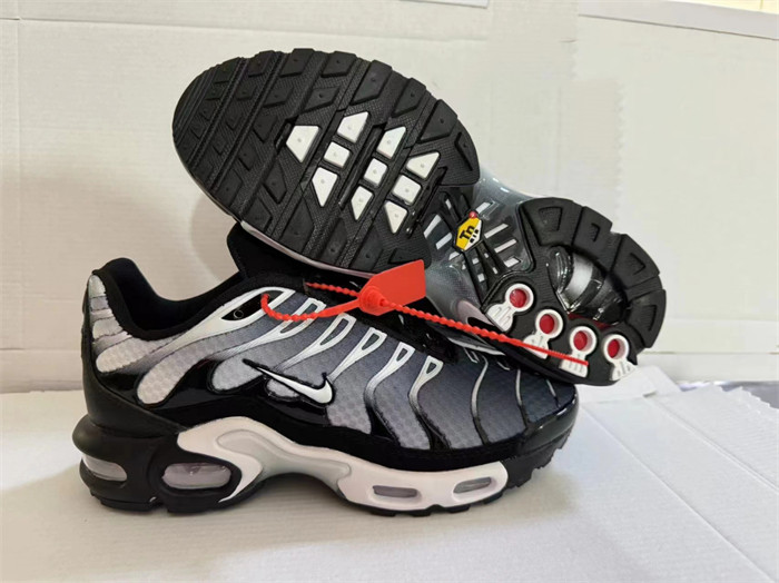 Men's Hot sale Running weapon Air Max TN White/Black Shoes 843